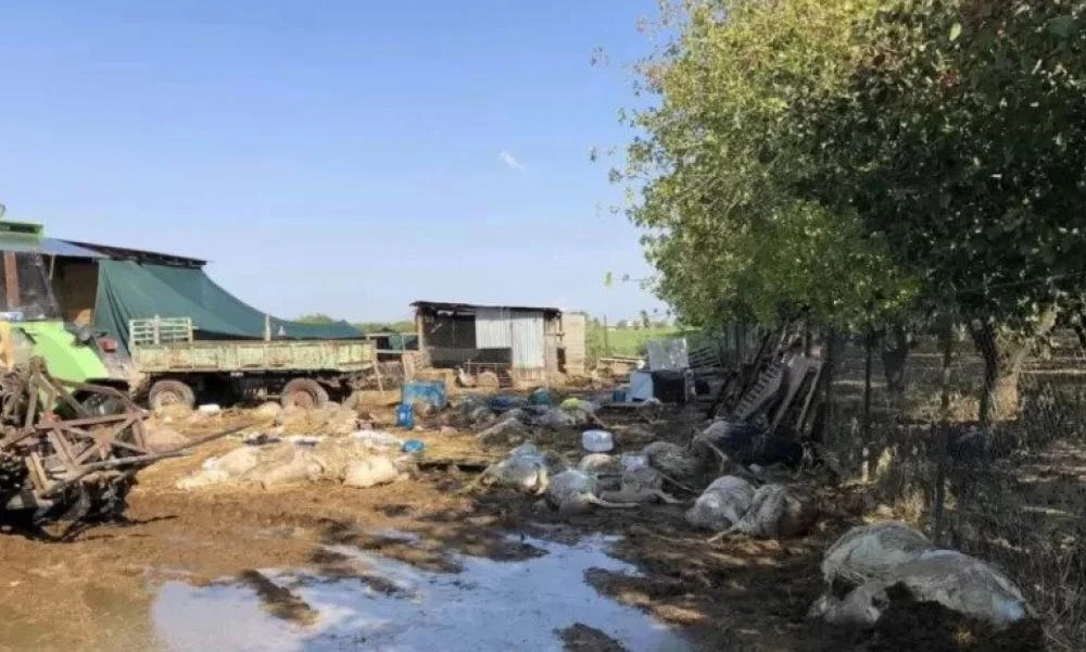 Χωριό φάντασμα ο Βλοχός Καρδίτσας: Kάτοικοι κοιμούνται έξω από την εκκλησία